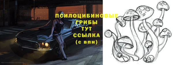 Альфа ПВП Алексин